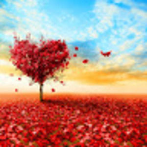 Meet your Posher, Sidney